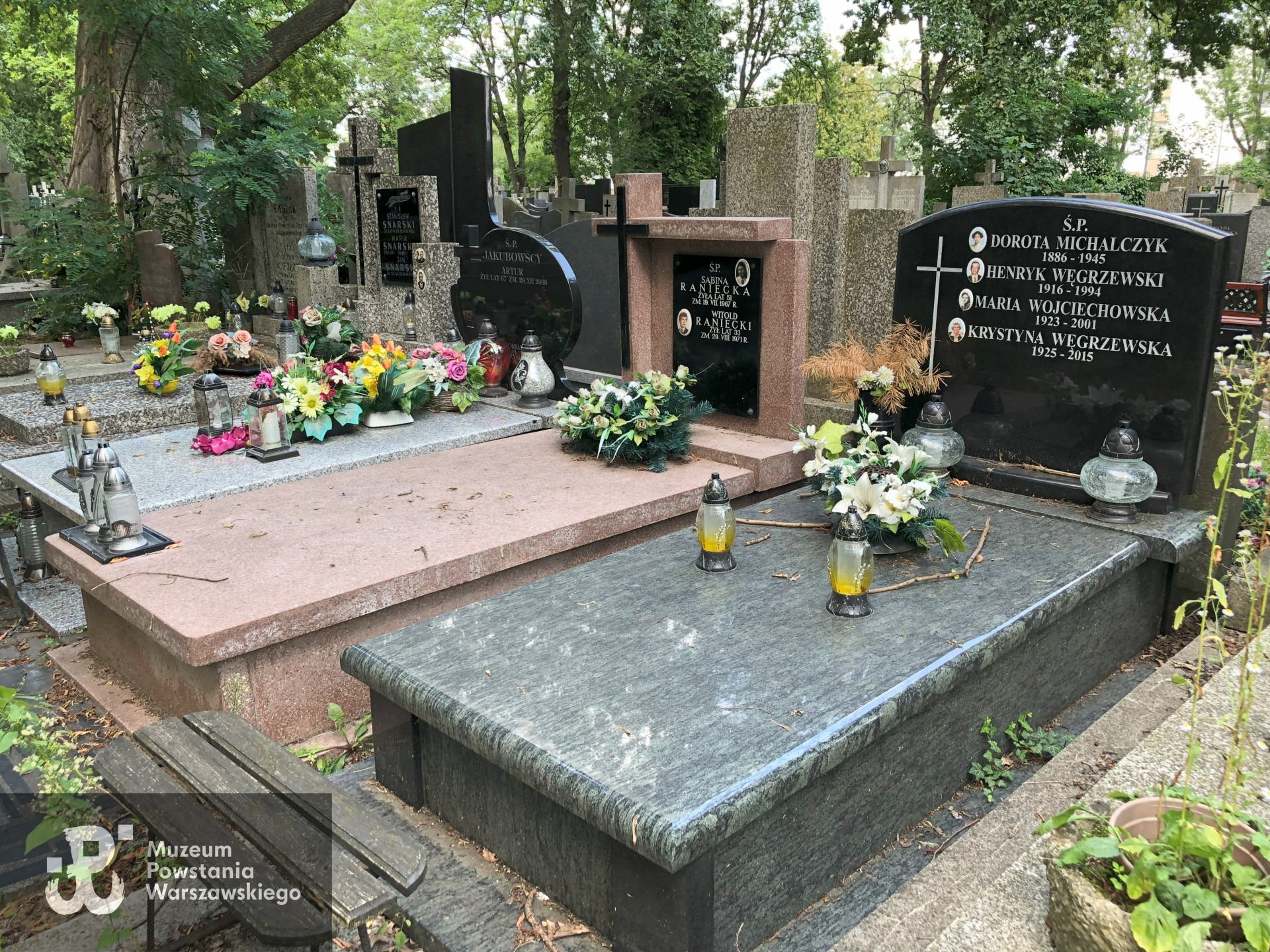 Źródło: Dorota Kotowska.