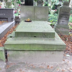 Źródło: https://cmentarze.um.warszawa.pl/pomnik.aspx?pom_id=22018 [dostęp: 04.09.2025].