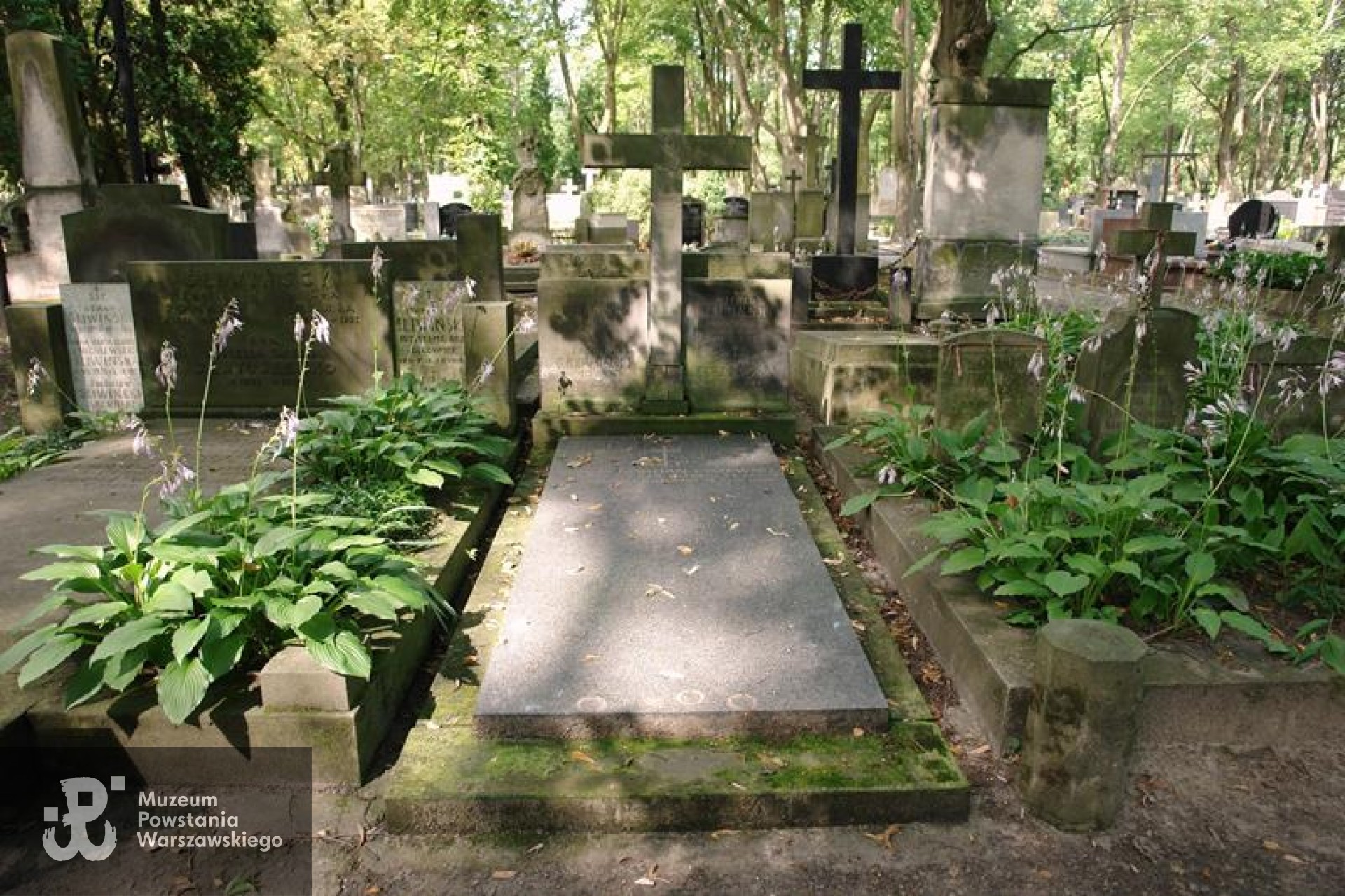 Źródło: https://cmentarze.um.warszawa.pl/pomnik.aspx?pom_id=45818 [dostęp: 11.09.2025].