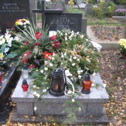 Źródło: https://warszawa.grobonet.com/grobonet/start.php?id=detale&idg=23113&inni=0&cinki=0 [dostęp: 13.06.2025].