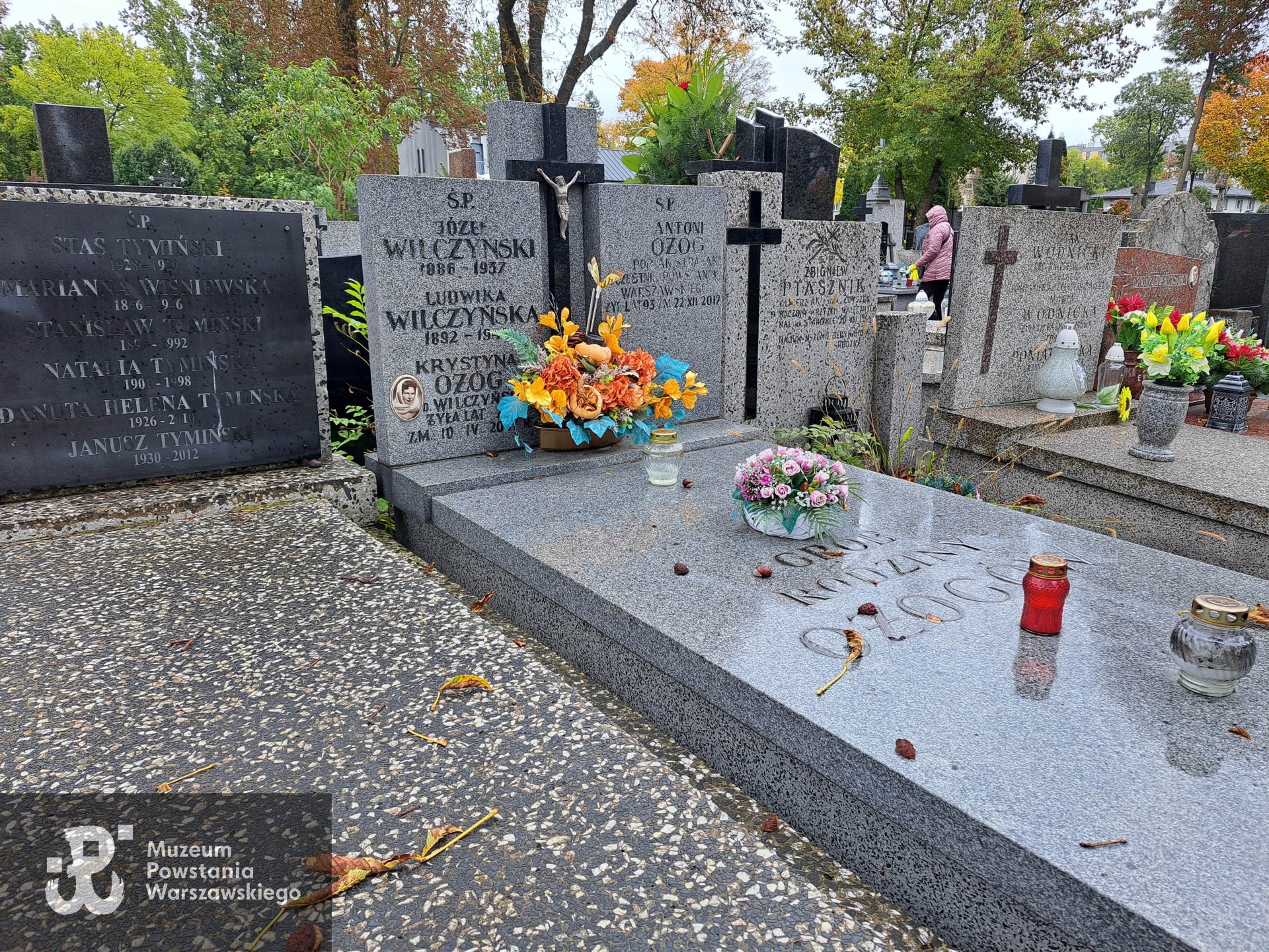 Źródło: Agnieszka Nowak.