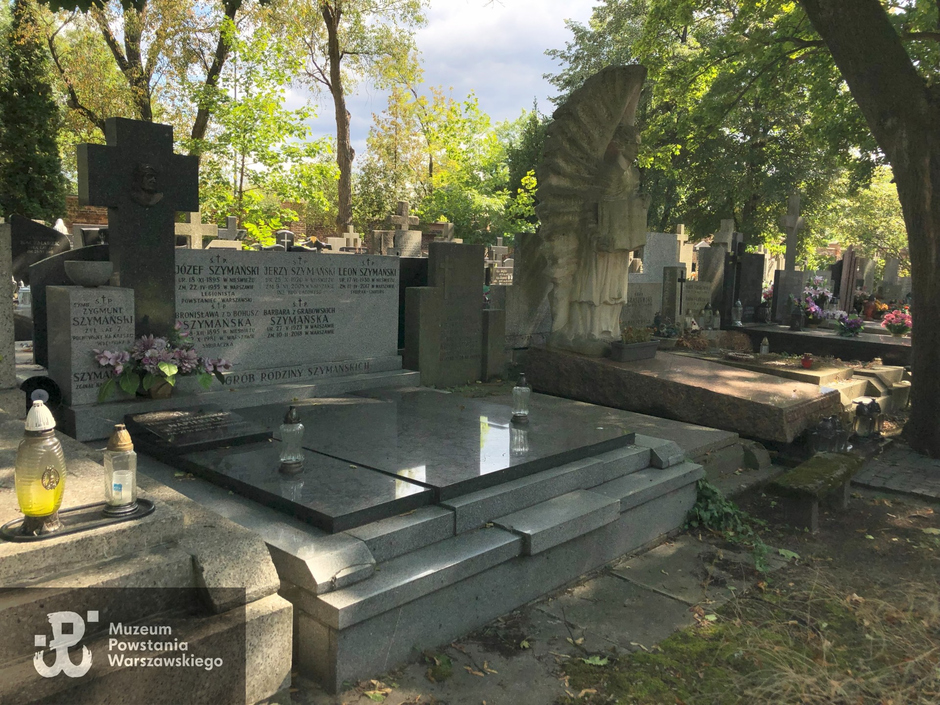 Źródło: Dorota Kotowska.