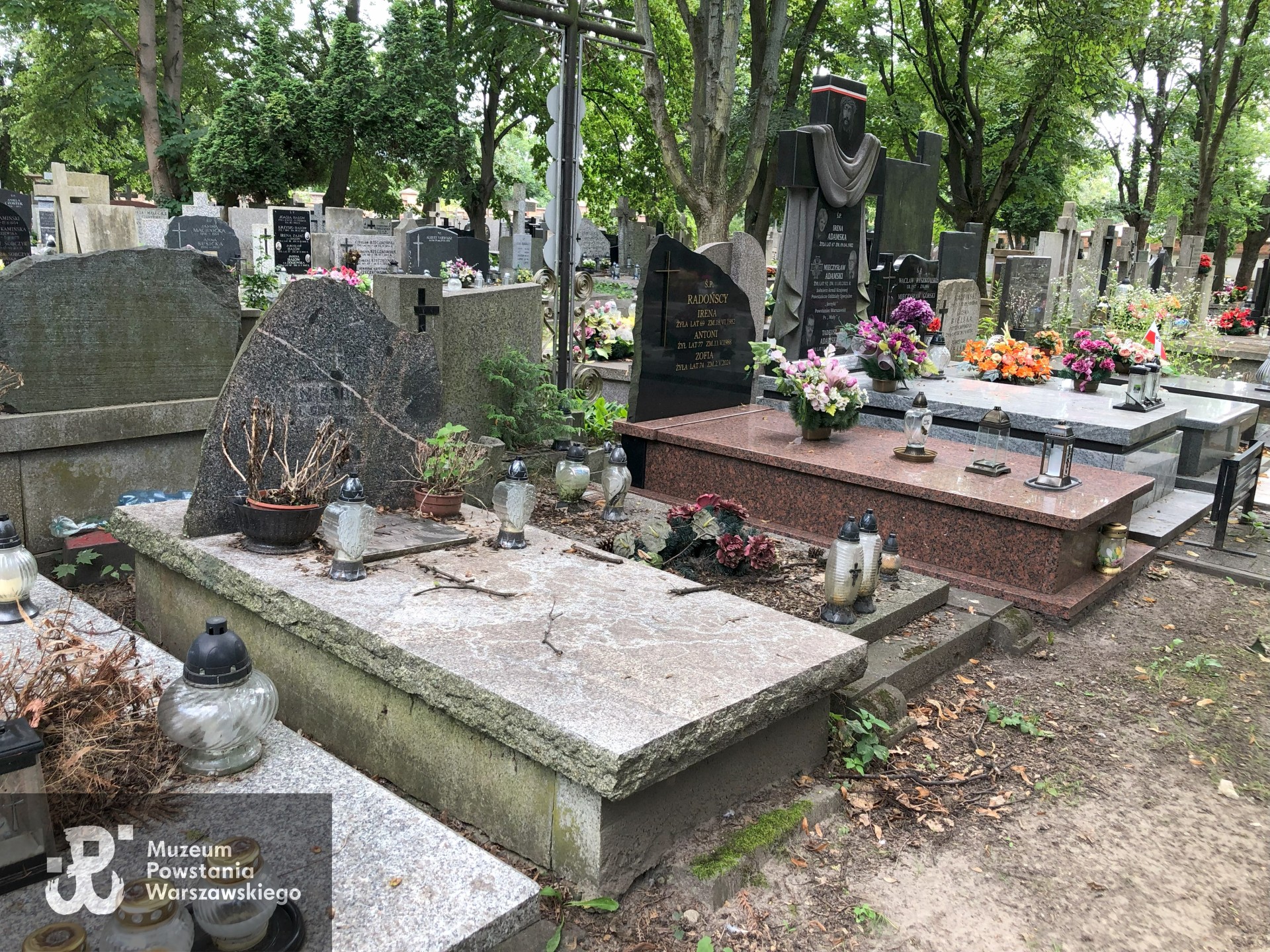 Źródło: Dorota Kotowska.