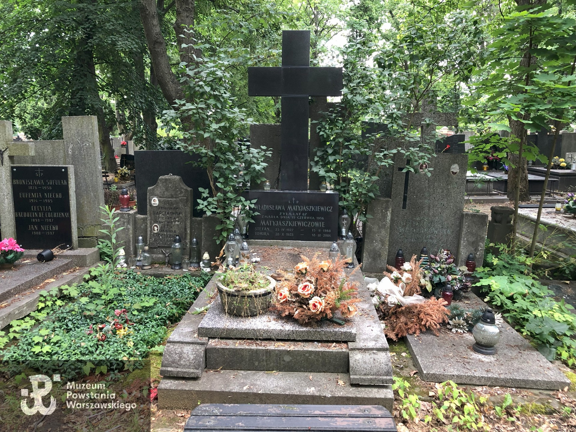 Źródło: Dorota Kotowska.