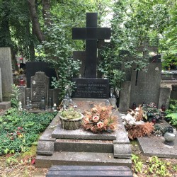 Źródło: Dorota Kotowska.