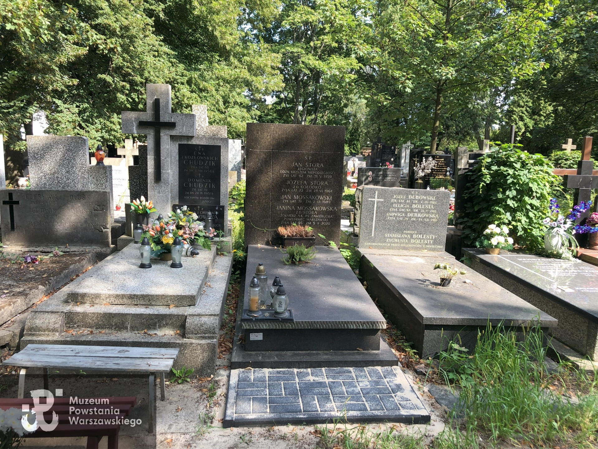 Źródło: Dorota Kotowska.