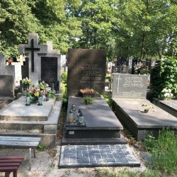 Źródło: Dorota Kotowska.