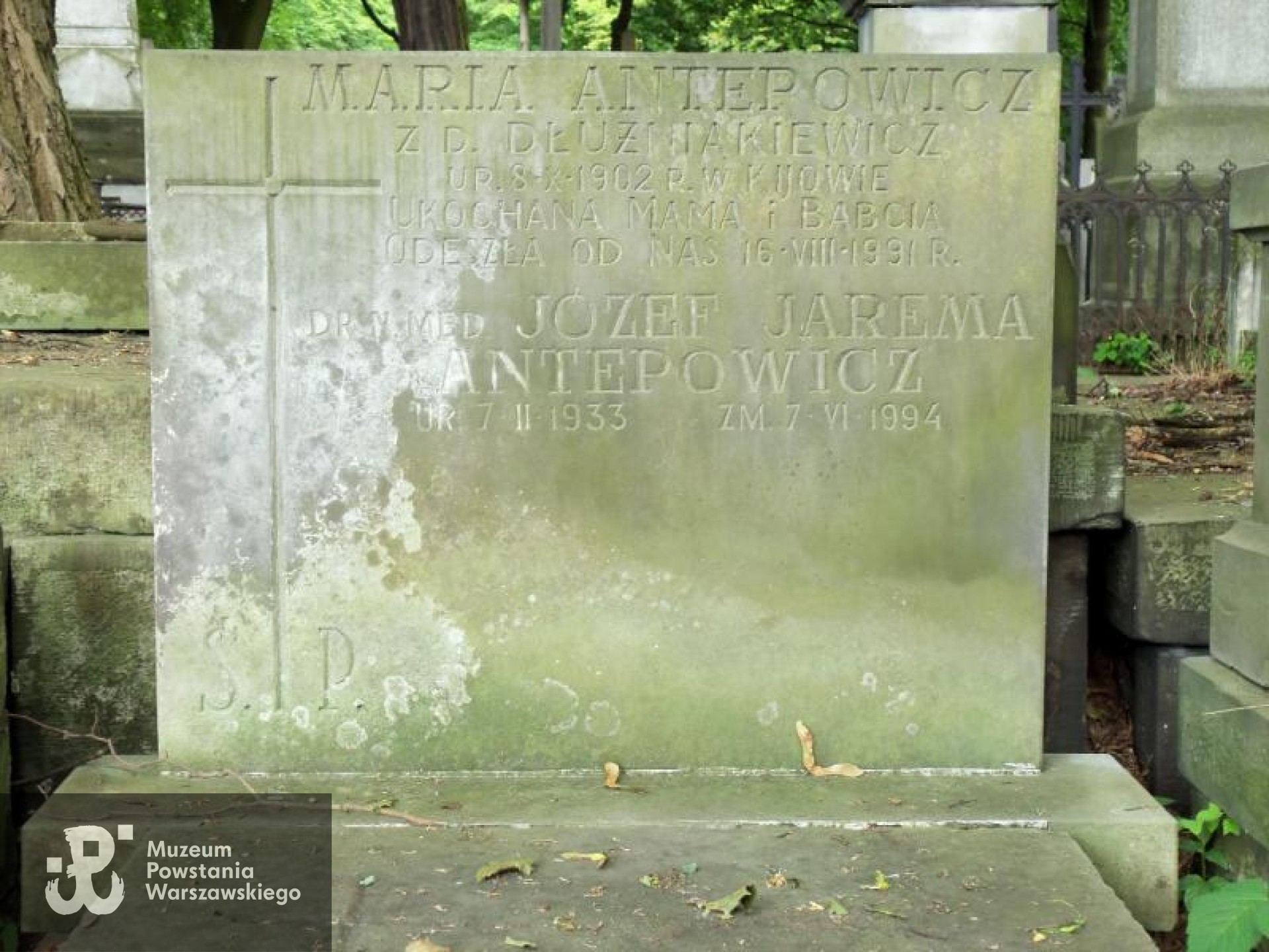 Źródło: https://cmentarze.um.warszawa.pl/pomnik.aspx?pom_id=1331 [dostęp: 15.04.2025].