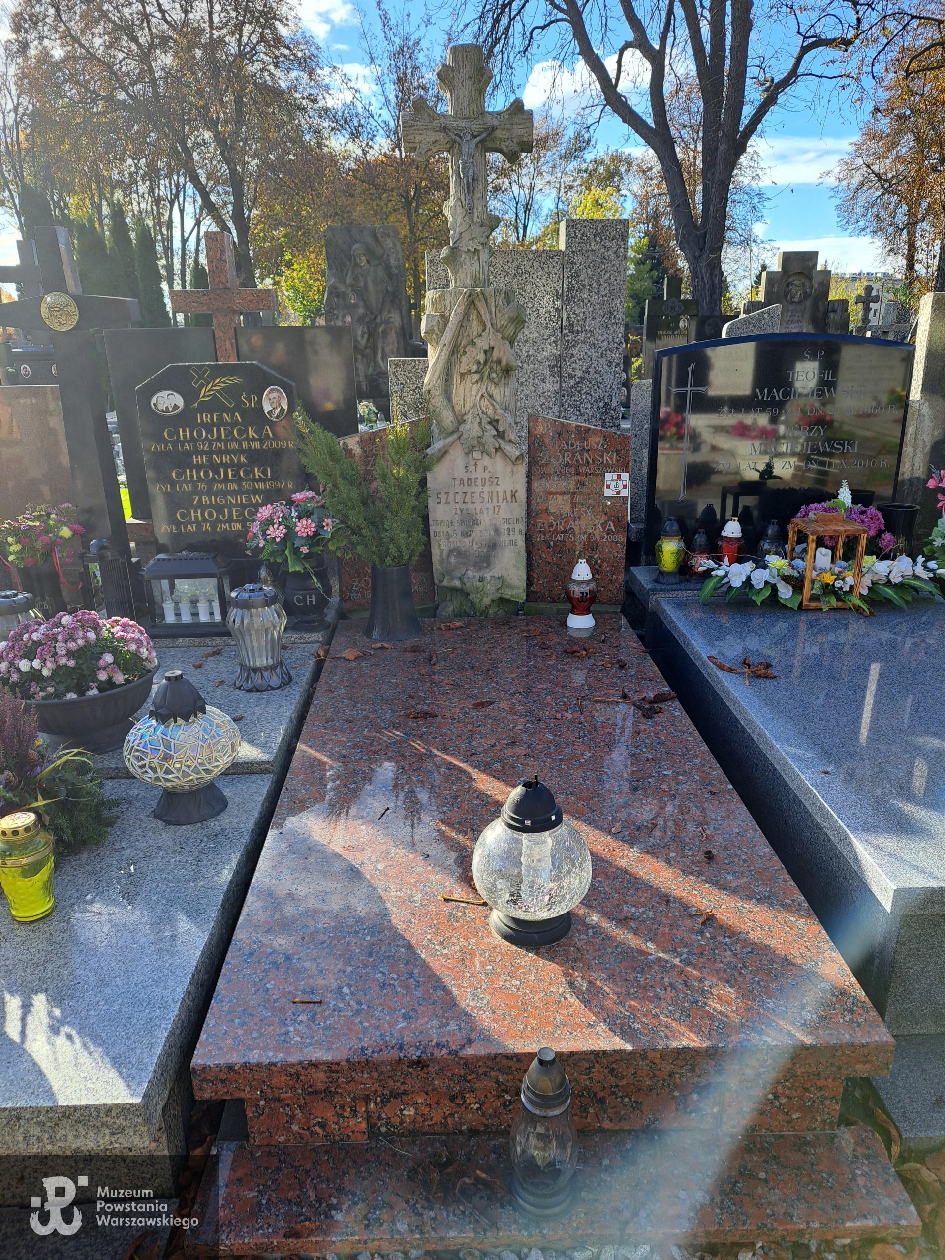 Źródło: Agnieszka Nowak.