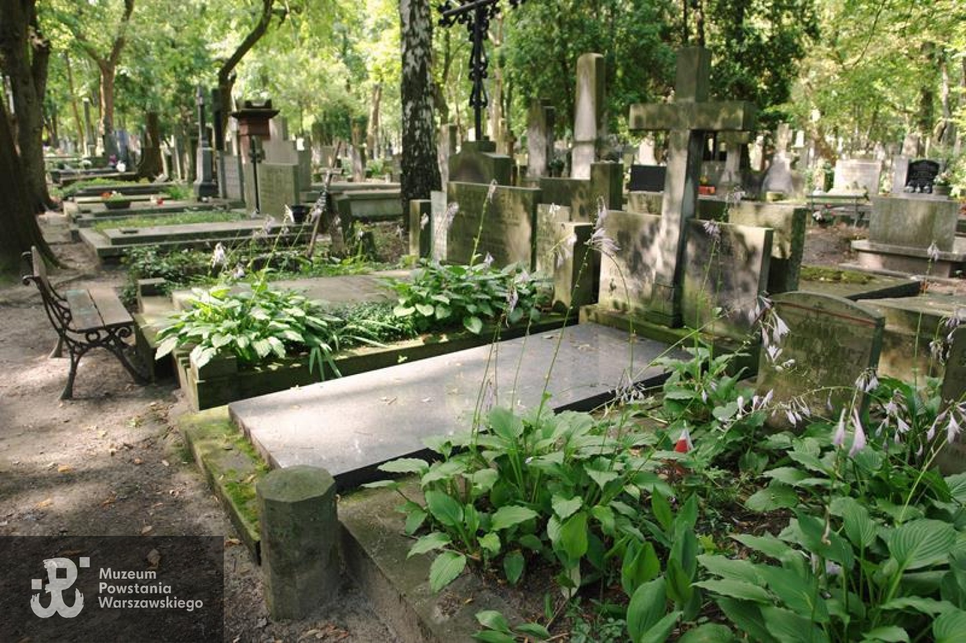 Źródło: https://cmentarze.um.warszawa.pl/pomnik.aspx?pom_id=45818 [dostęp: 11.09.2025].