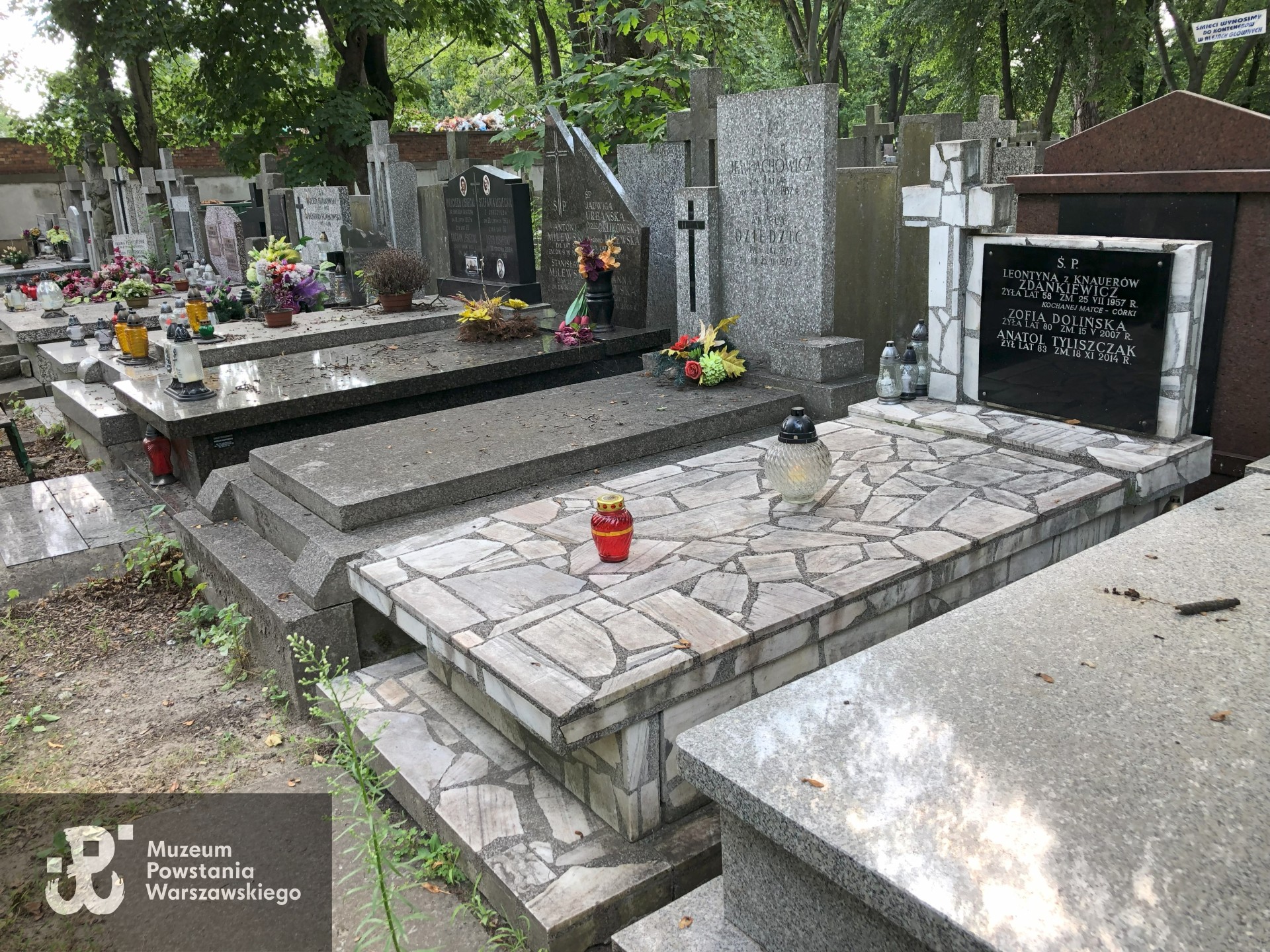 Źródło: Dorota Kotowska.