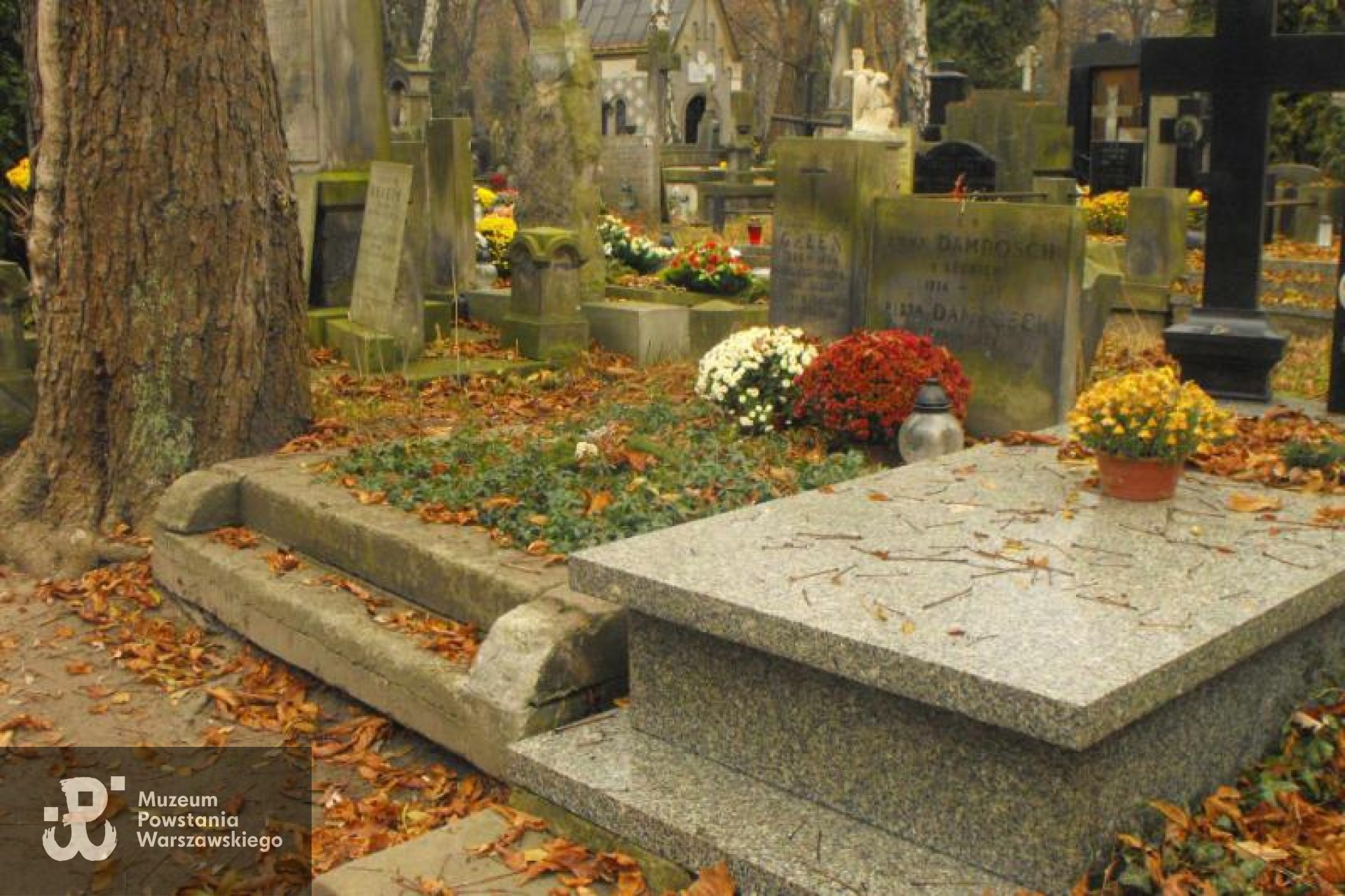 Źródło: https://cmentarze.um.warszawa.pl/pomnik.aspx?pom_id=14791 [dostęp: 31.03.2026].