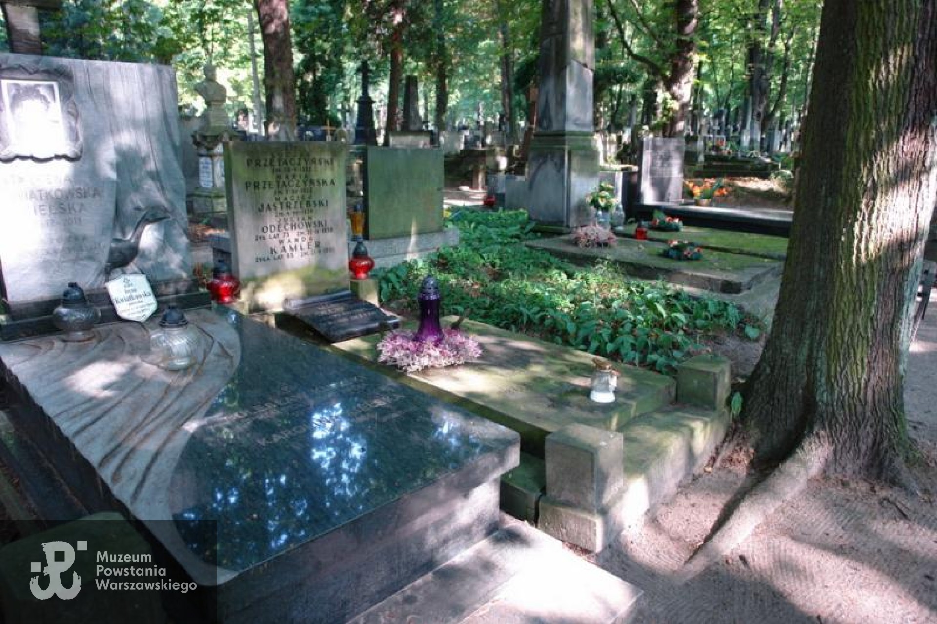 Źródło: https://cmentarze.um.warszawa.pl/pomnik.aspx?pom_id=30483 [dostęp: 23.04.2025].