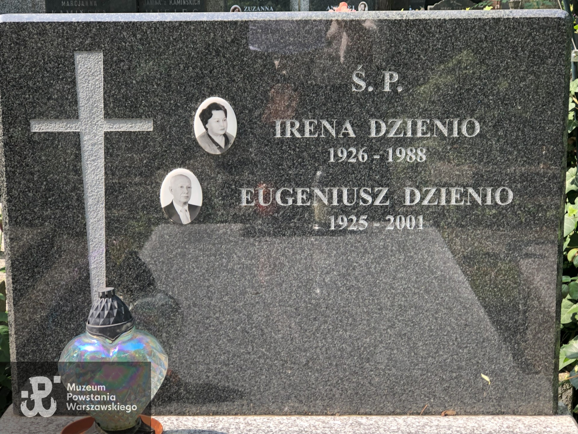 Źródło: Dorota Kotowska.