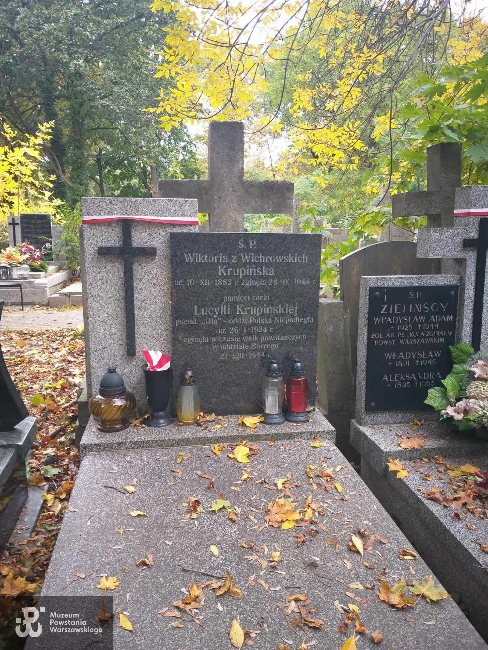 Źródło: Beata Trzcińska.