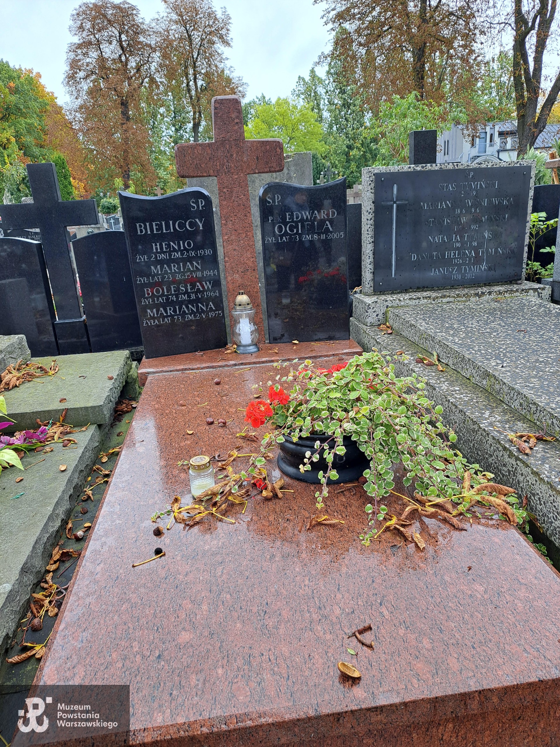 Źródło: Agnieszka Nowak.