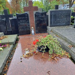 Źródło: Agnieszka Nowak.