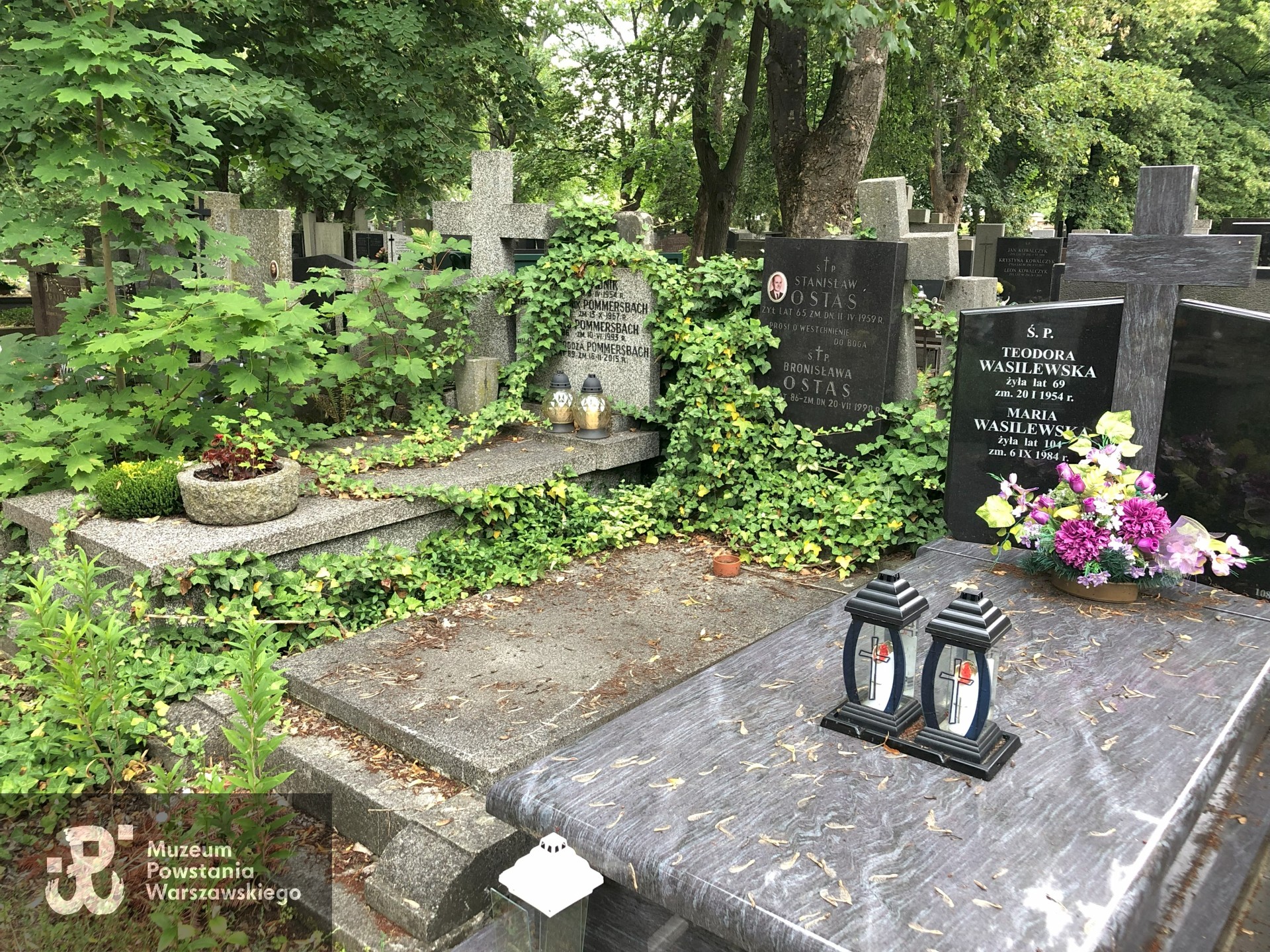 Źródło: Dorota Kotowska.