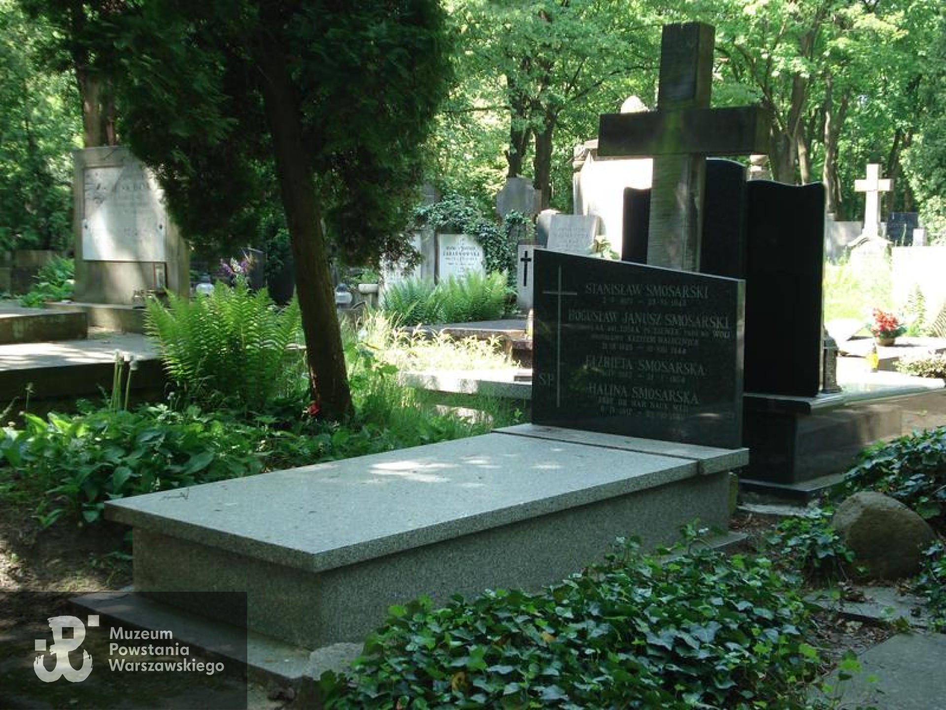 Grób na Starych Powązkach w Warszawie. Źródło: https://cmentarze.um.warszawa.pl/pomnik.aspx?pom_id=42173 [dostęp: 9.02.2026].