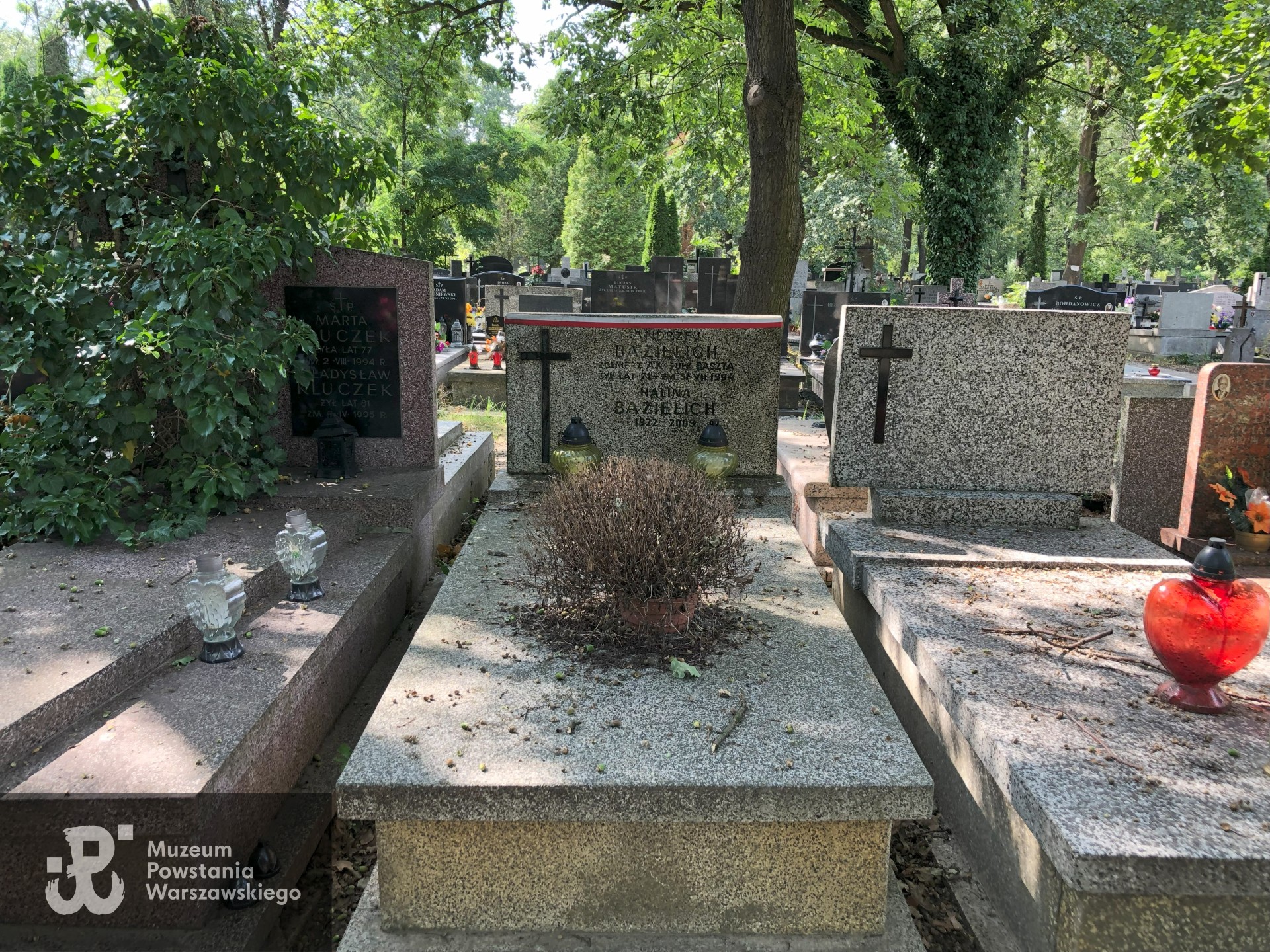 Źródło: Dorota Kotowska.