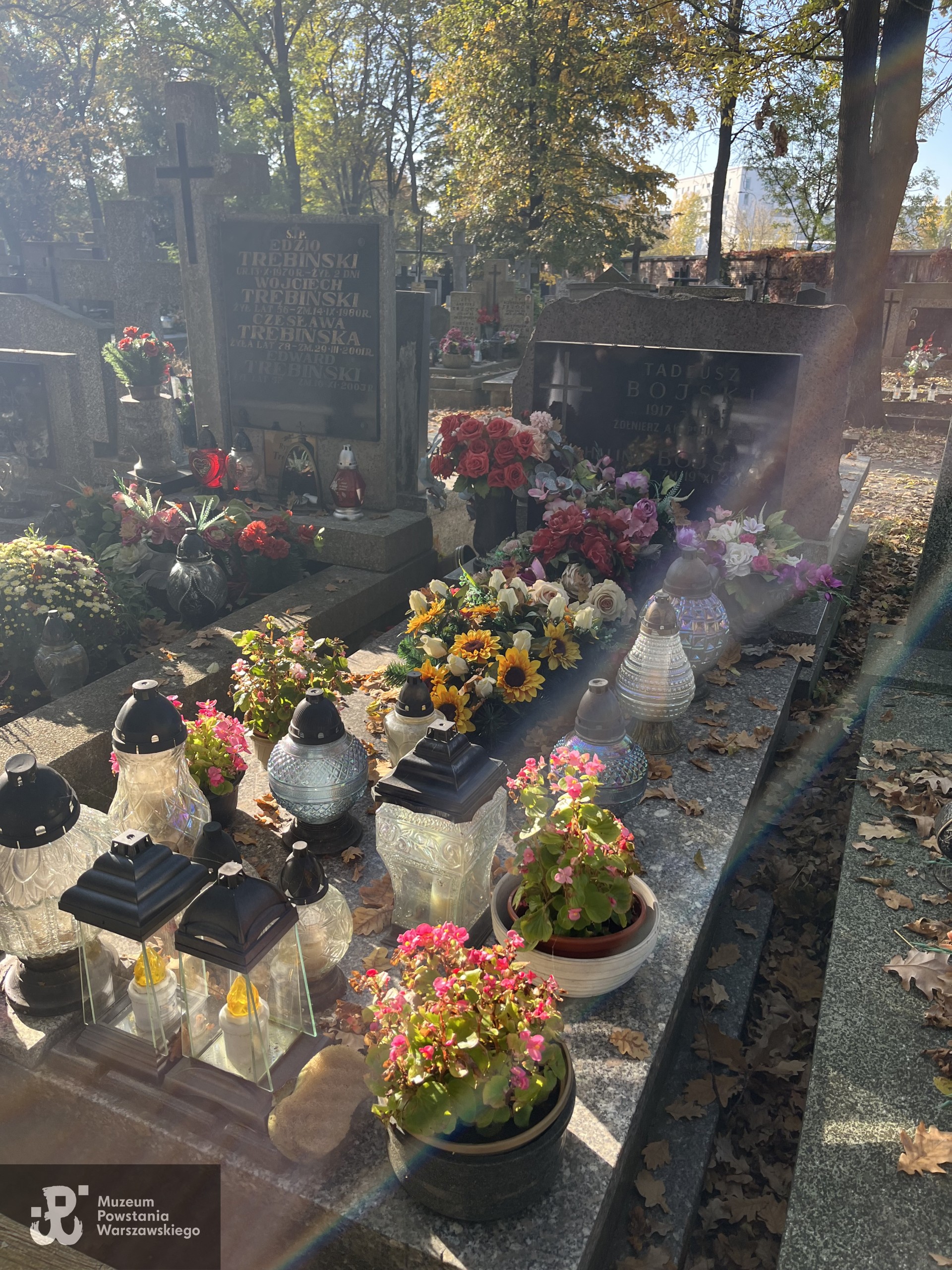 Źródło: Zespół Szkół nr 14 w Warszawie.