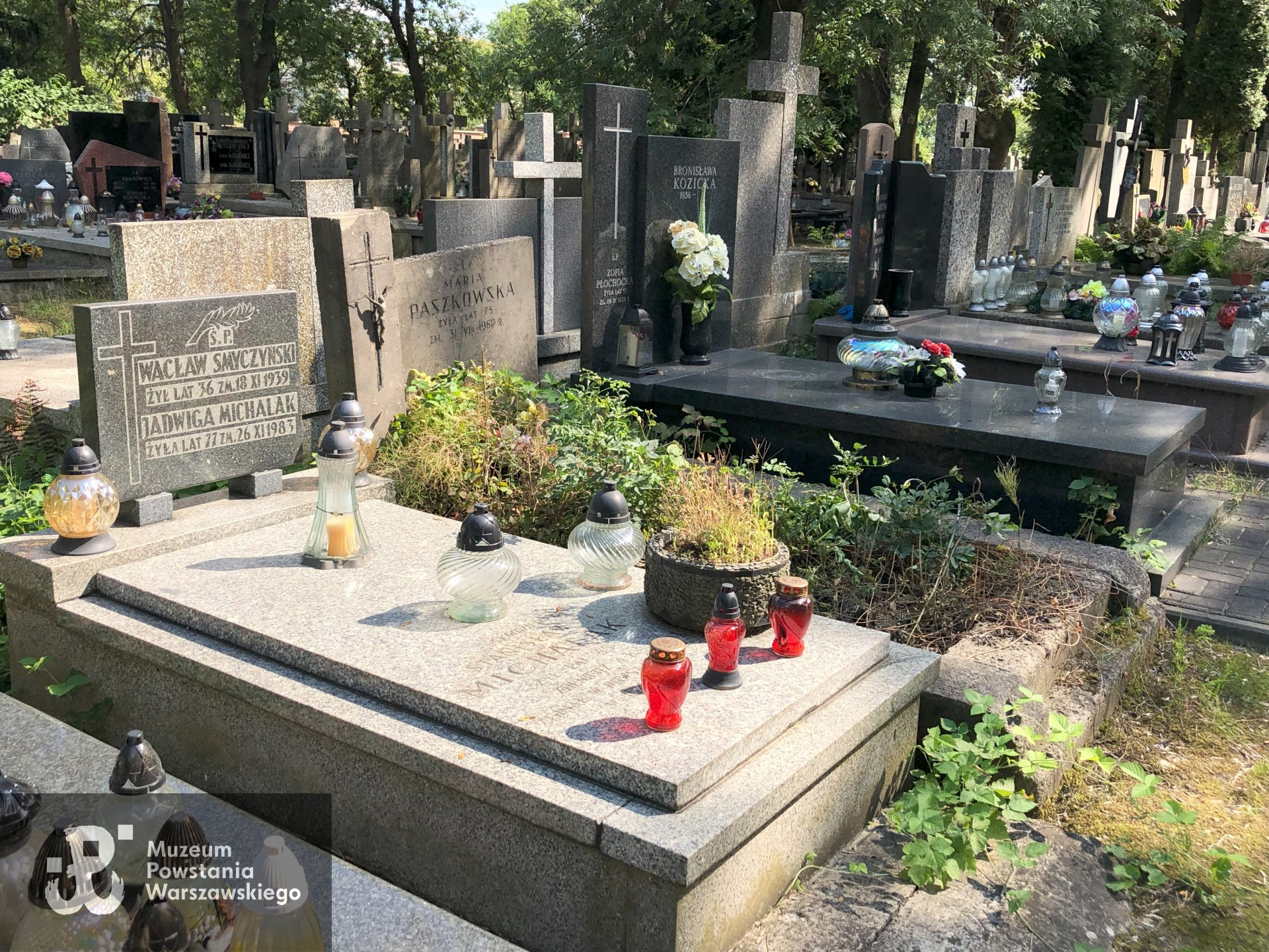 Źródło: Dorota Kotowska.