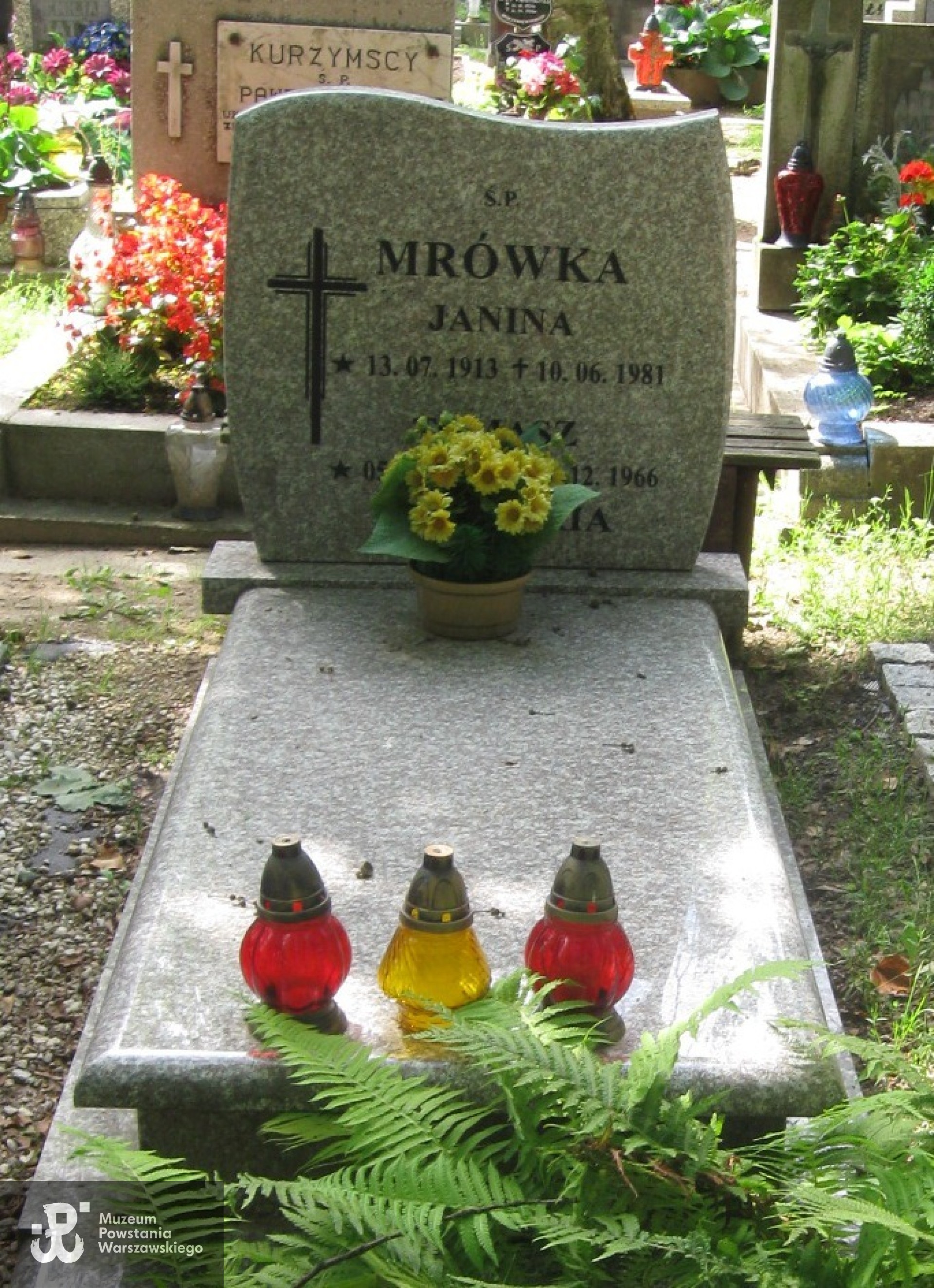 Źródło: https://stargard.grobonet.com/grobonet/start.php?id=detale&idg=80568&inni=0&cinki=0 [dostęp: 21.11.2025].