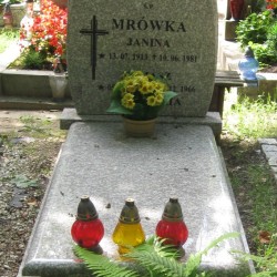 Źródło: https://stargard.grobonet.com/grobonet/start.php?id=detale&idg=80568&inni=0&cinki=0 [dostęp: 21.11.2025].