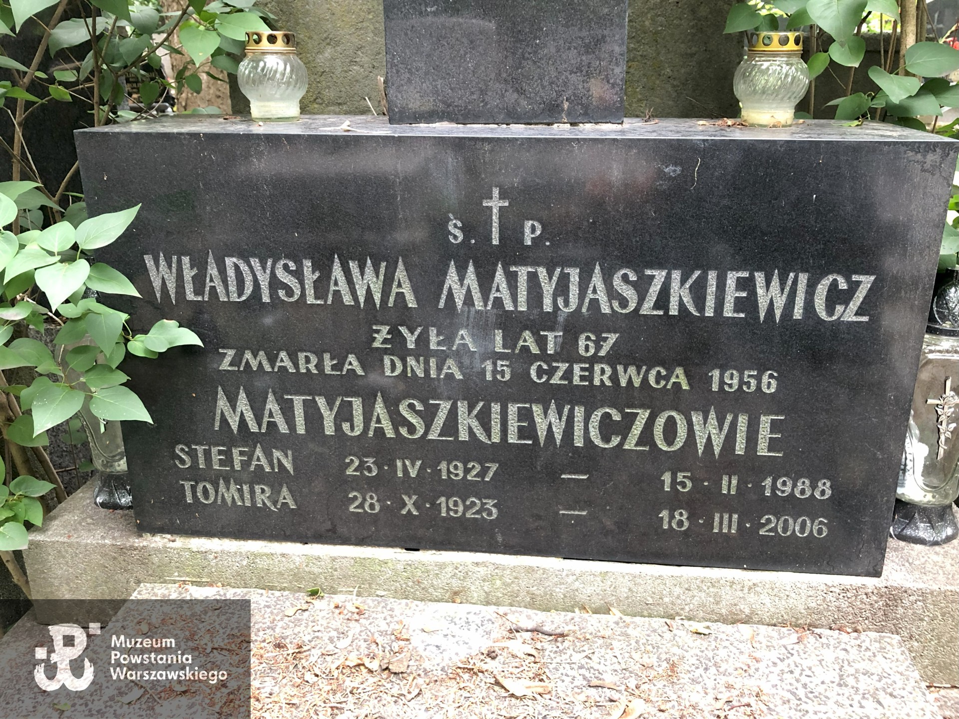 Źródło: Dorota Kotowska.