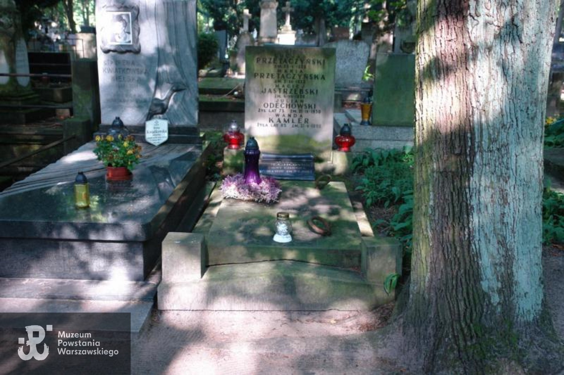 Źródło: https://cmentarze.um.warszawa.pl/pomnik.aspx?pom_id=30483 [dostęp: 23.04.2025].