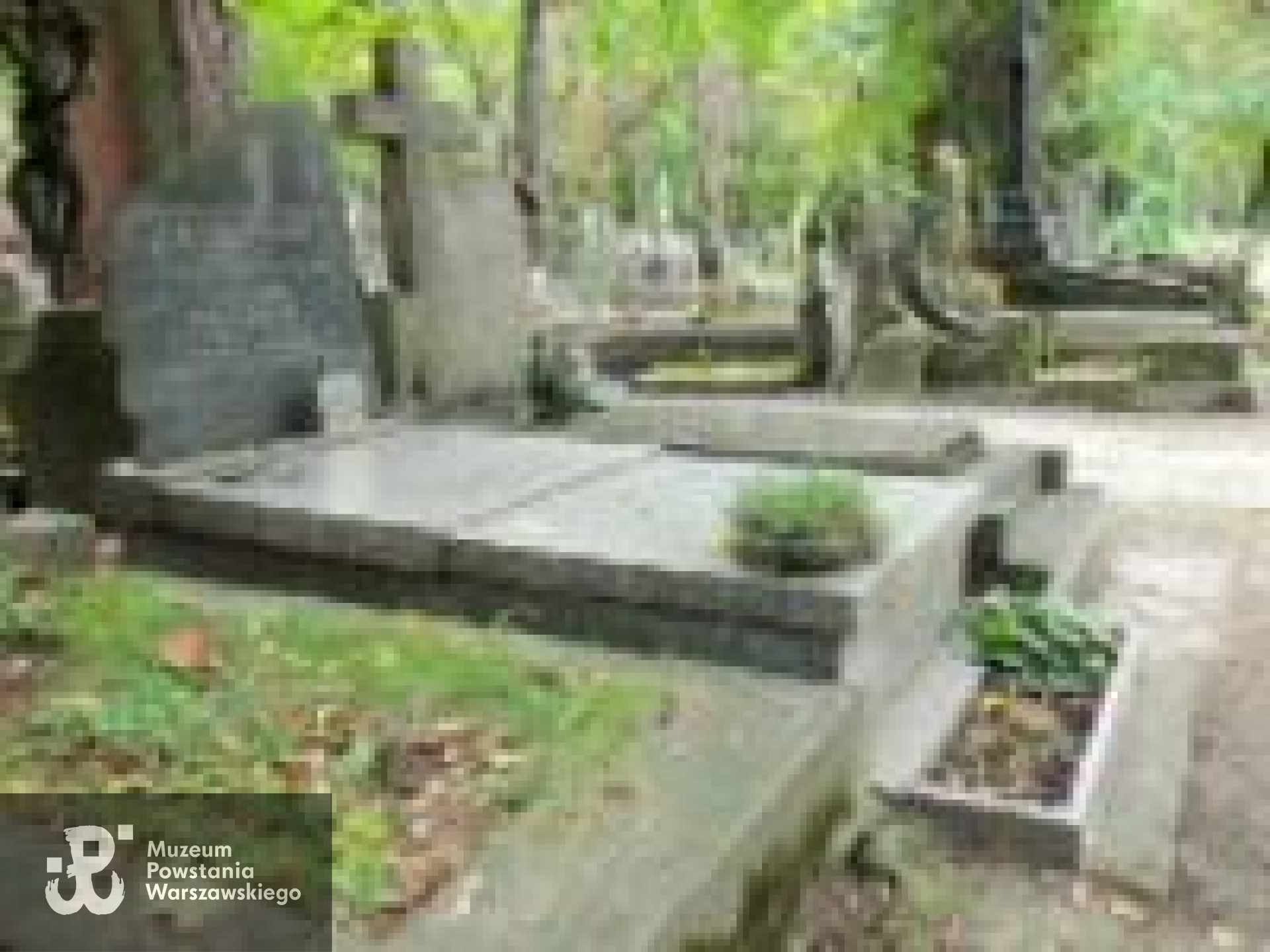 Źródło: https://cmentarze.um.warszawa.pl/pomnik.aspx?pom_id=28323 [dostęp: 10.04.2025].