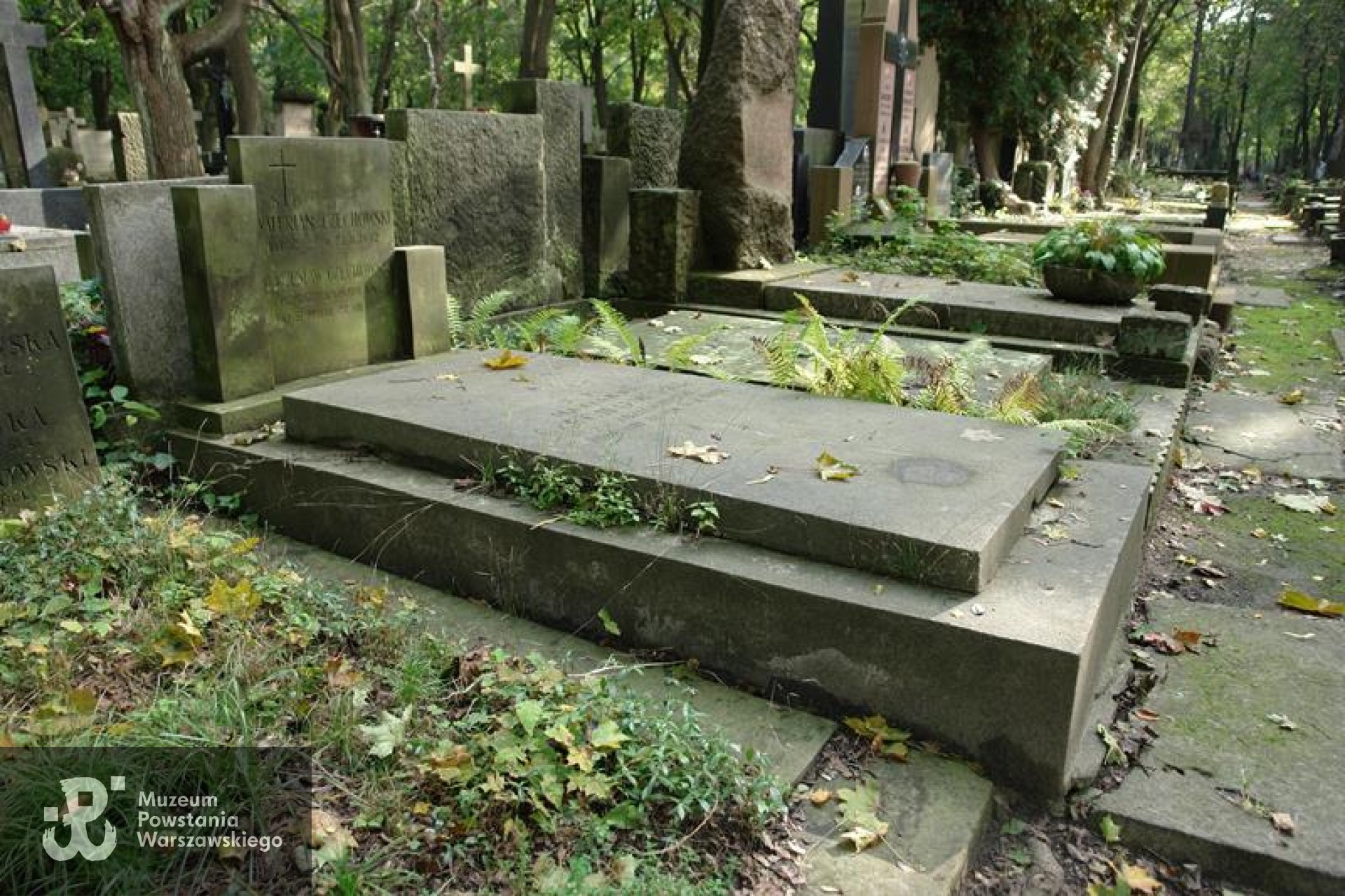 Źródło: https://cmentarze.um.warszawa.pl/pomnik.aspx?pom_id=46360 [dostęp: 9.04.2025].