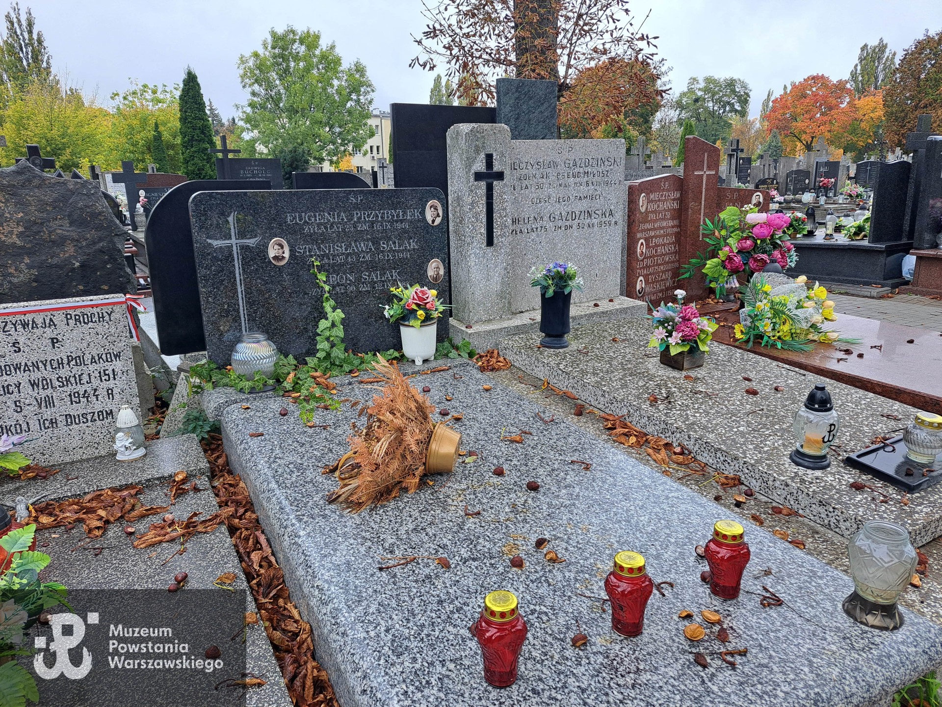 Źródło: Agnieszka Nowak.