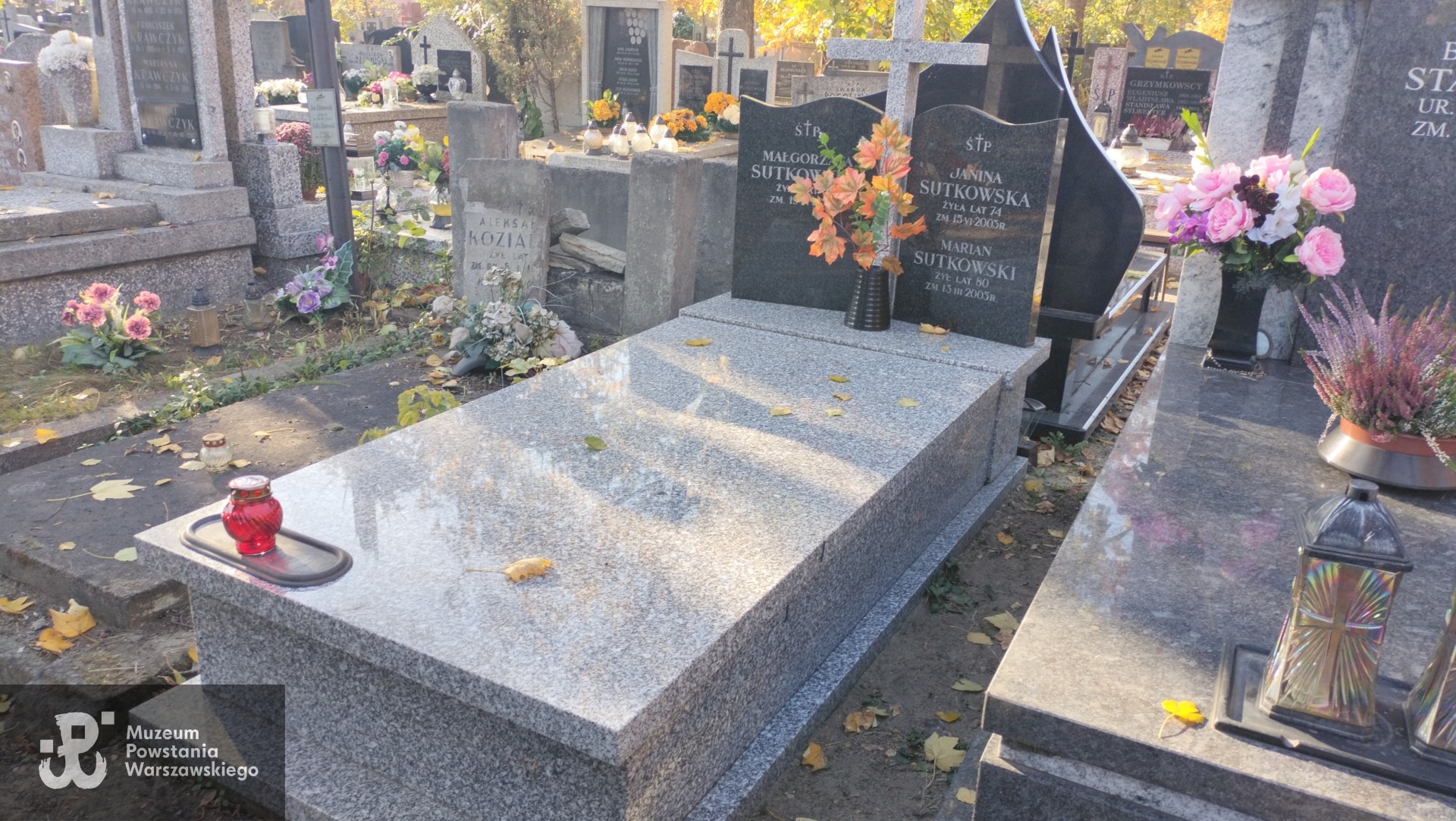 Źródło: Zespół Szkół nr 14 w Warszawie.