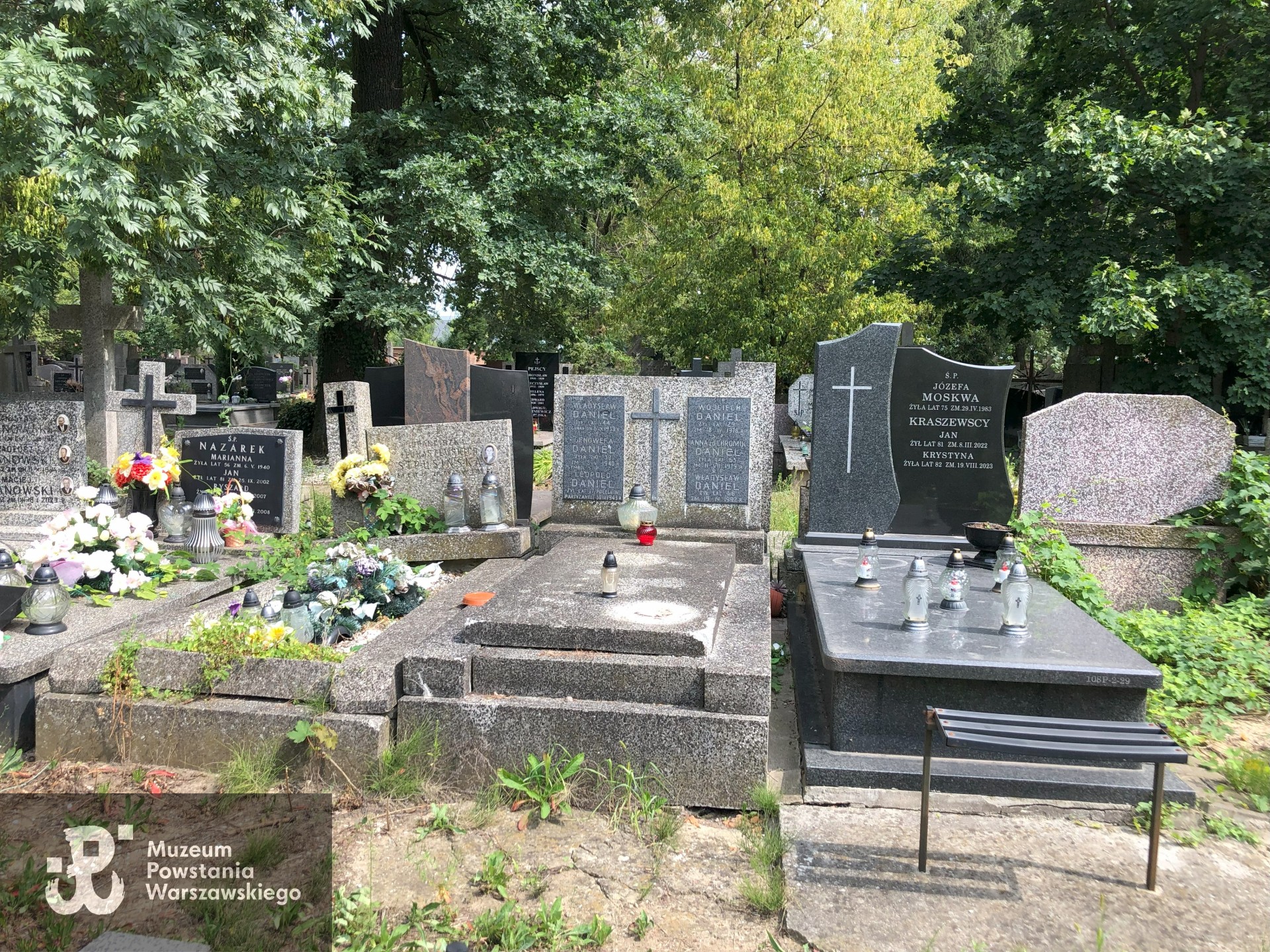 Źródło: Dorota Kotowska.