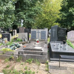 Źródło: Dorota Kotowska.