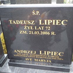 Upamiętnienie symboliczne na cmentarzu komunalnym w Ostrołęce. Źródło: Formularz zgłoszeniowy do Bazy grobów Powstańców Warszawskich.