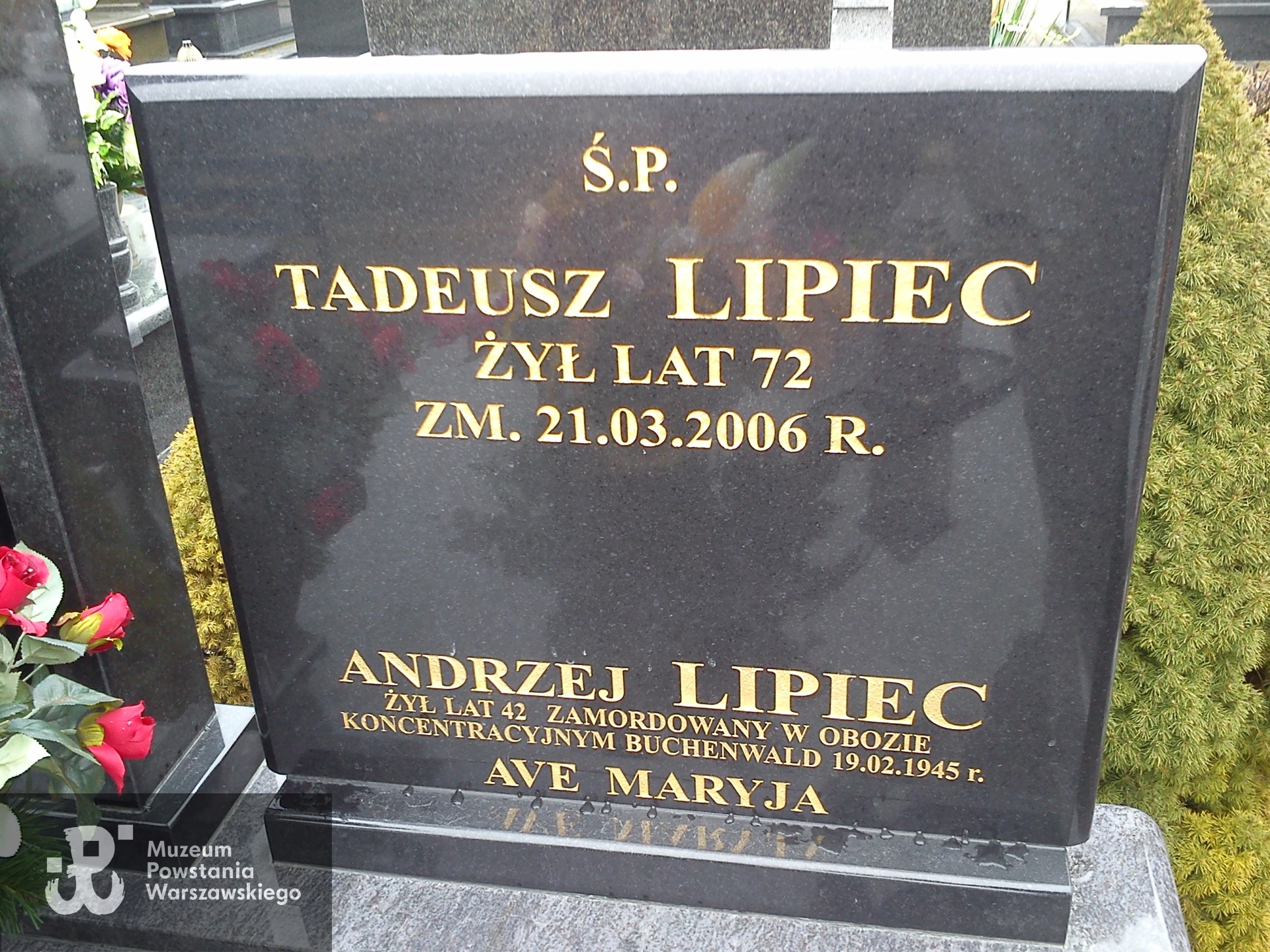 Upamiętnienie symboliczne na cmentarzu komunalnym w Ostrołęce. Źródło: Formularz zgłoszeniowy do Bazy grobów Powstańców Warszawskich.