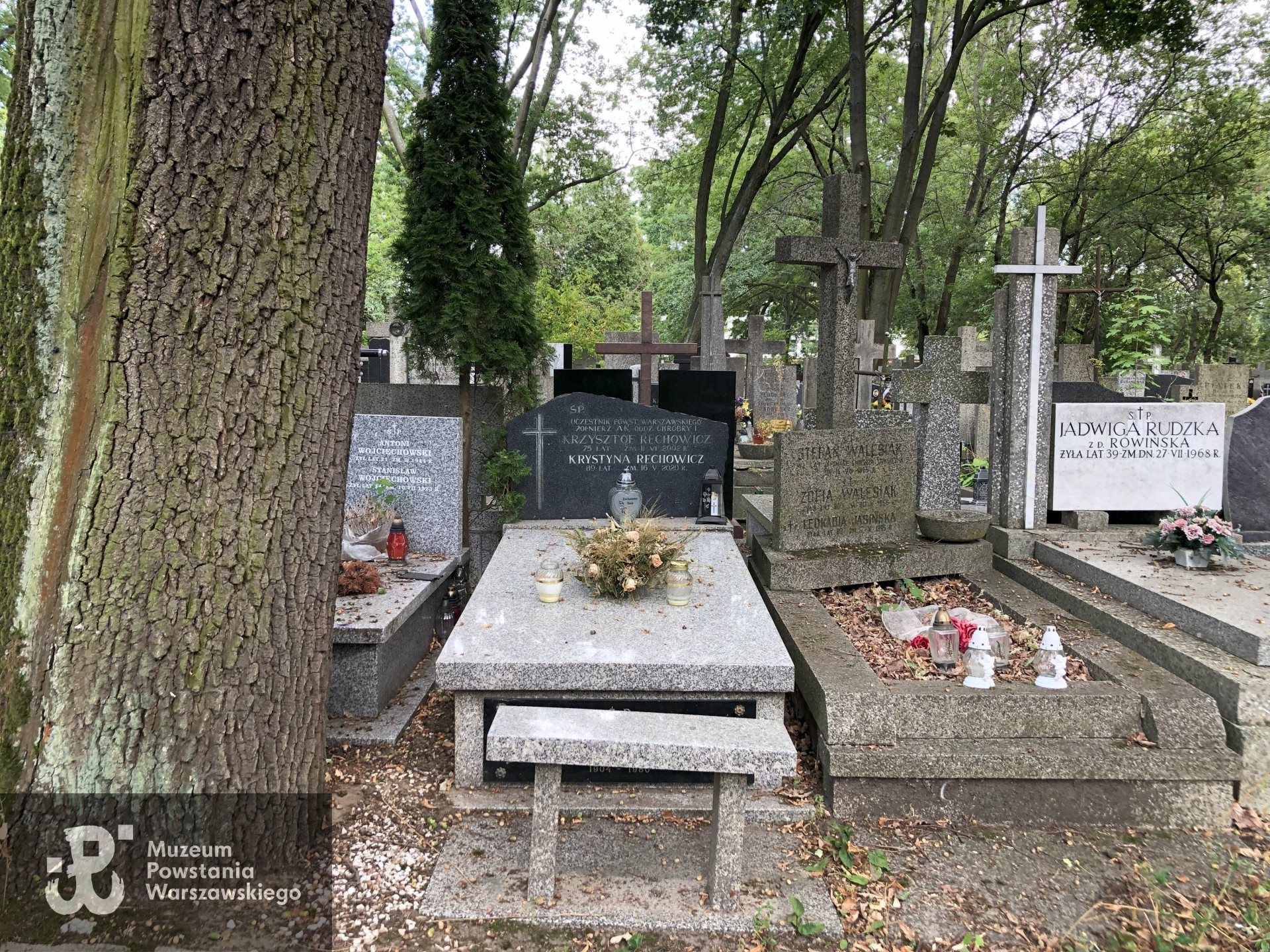 Źródło: Dorota Kotowska.