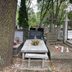 Źródło: Dorota Kotowska.