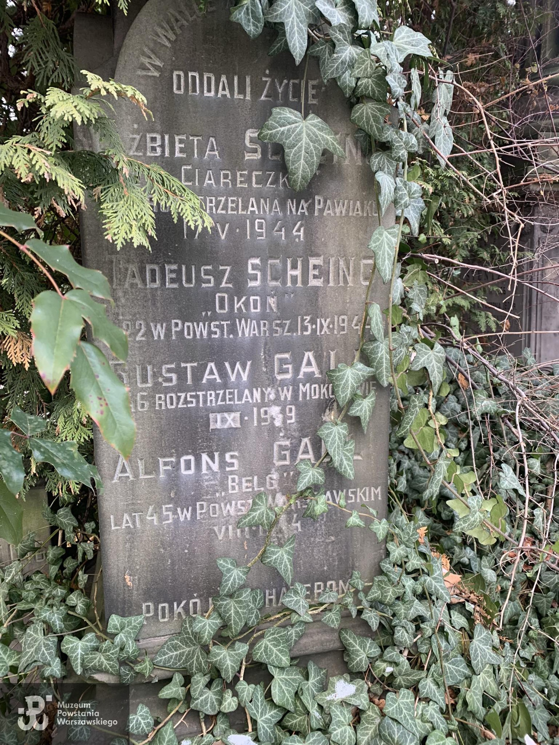 Grób na Cmentarzu Ewangelicko-Augsburskim w Warszawie.