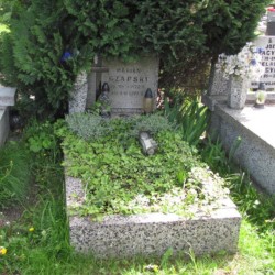 Źródło: https://czestochowa.grobonet.com/grobonet/start.php?id=detale&idg=10617 [dostęp: 17.09.2025].