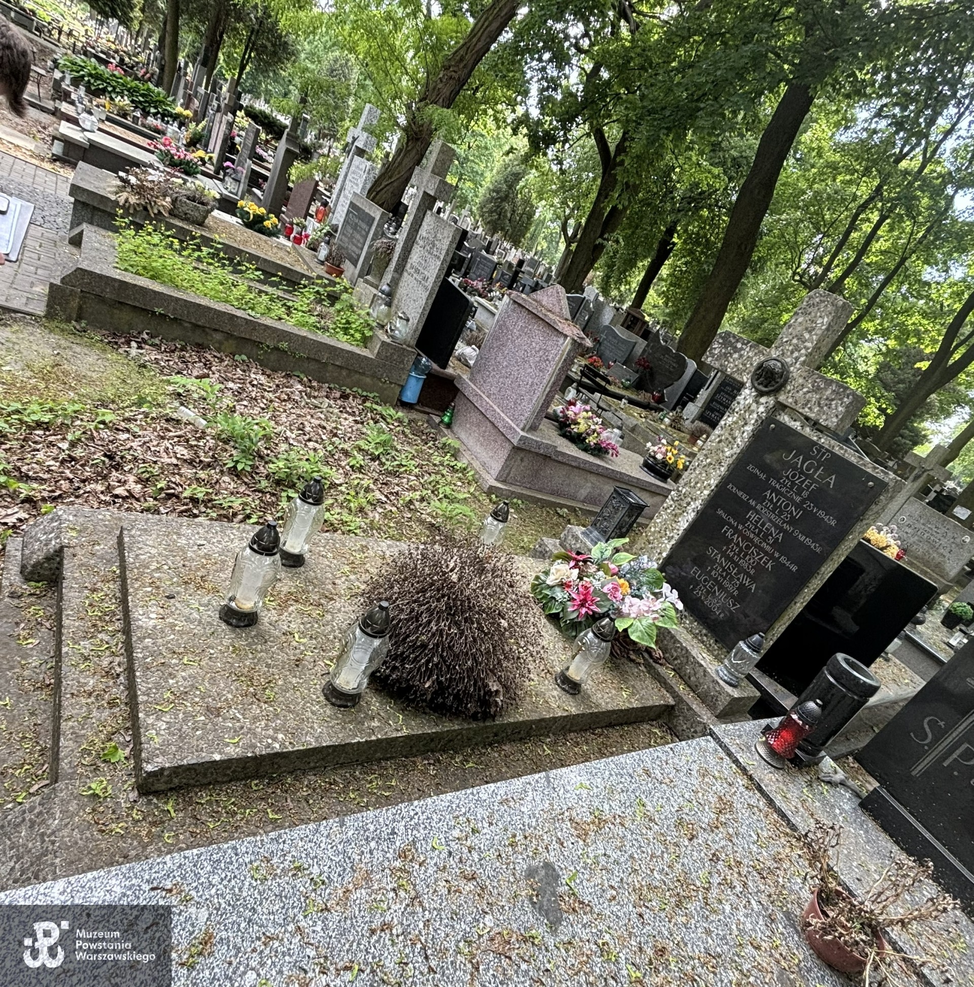 Źródło: VIII Liceum Ogólnokształcące im. Władysława IV w Warszawie.