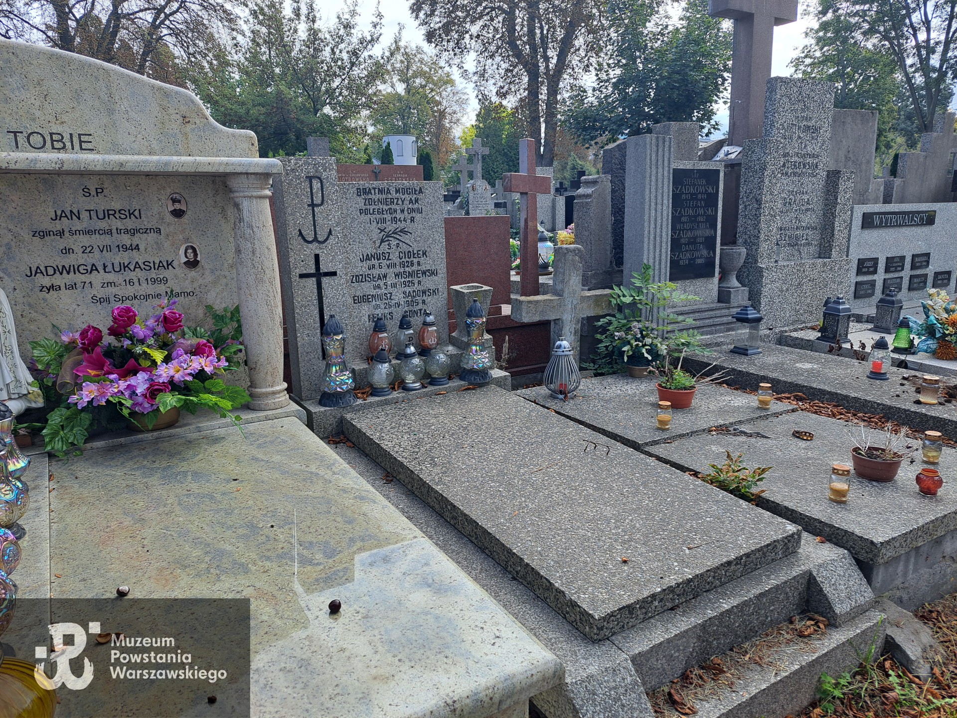 Źródło: Agnieszka Nowak.