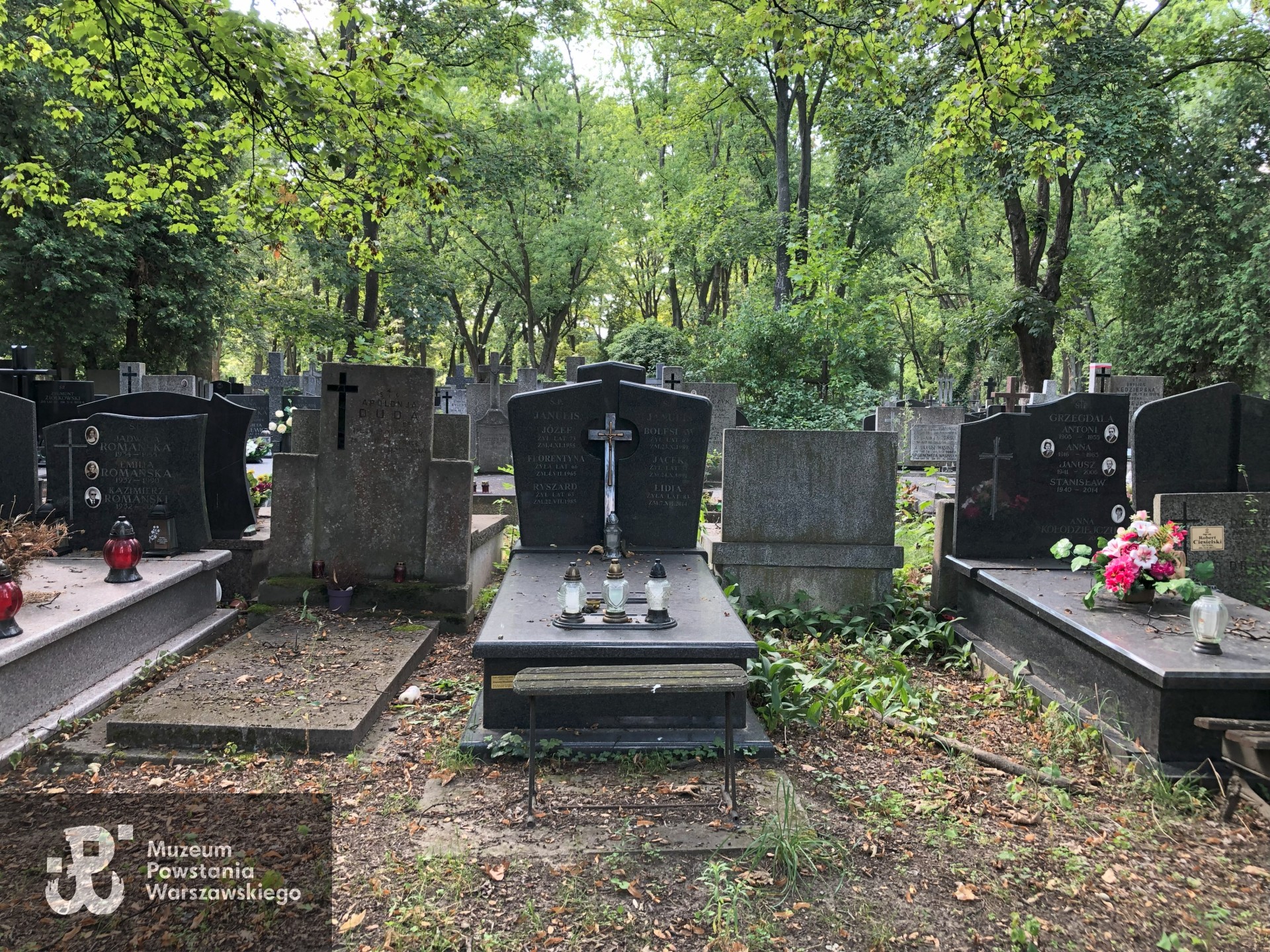 Źródło: Dorota Kotowska.