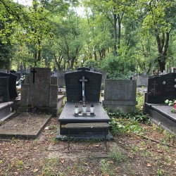 Źródło: Dorota Kotowska.