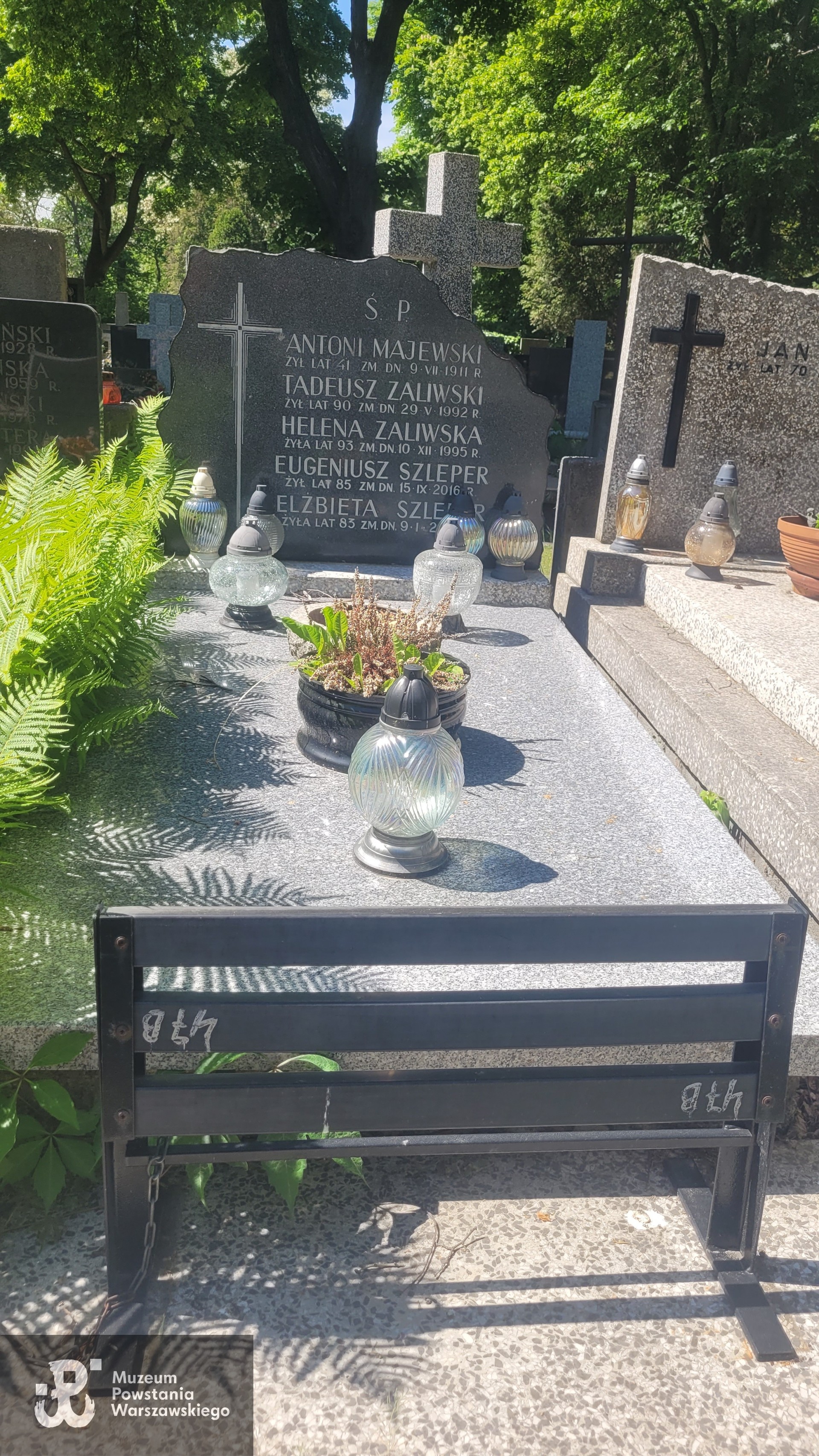 Źródło: VIII Liceum Ogólnokształcące im. Władysława IV w Warszawie.