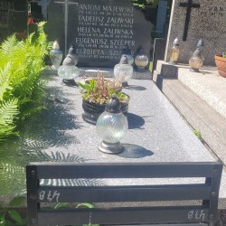 Źródło: VIII Liceum Ogólnokształcące im. Władysława IV w Warszawie.