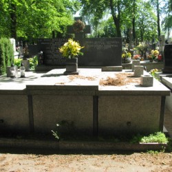 Źródło: https://czestochowa.grobonet.com/grobonet/start.php?id=detale&idg=14738 [dostęp: 22.05.2025].