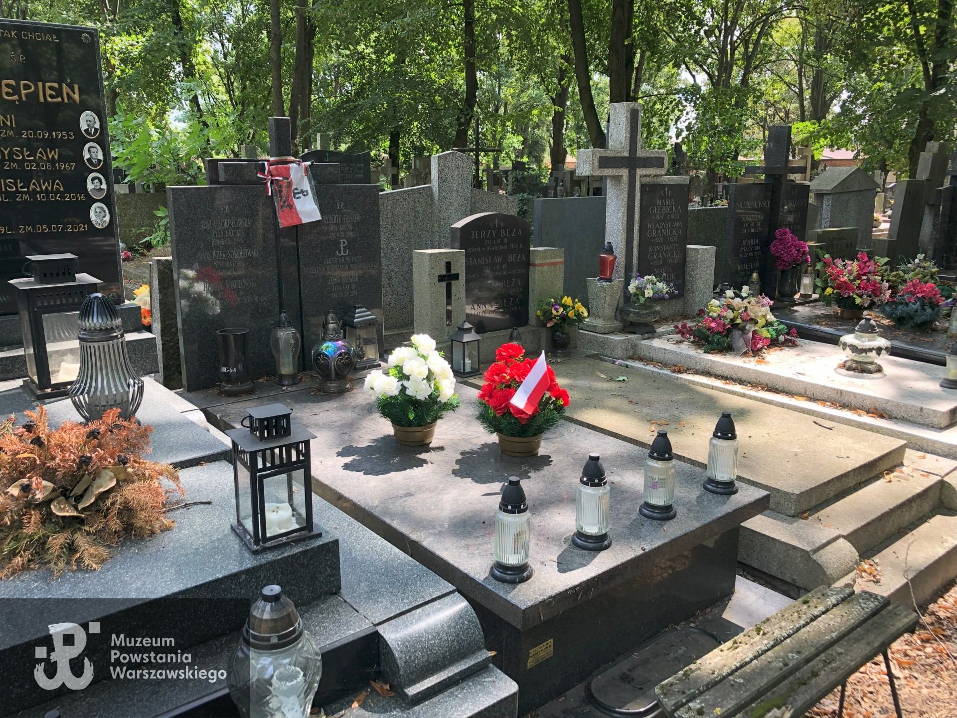 Źródło: Dorota Kotowska, Agnieszka Nowak.